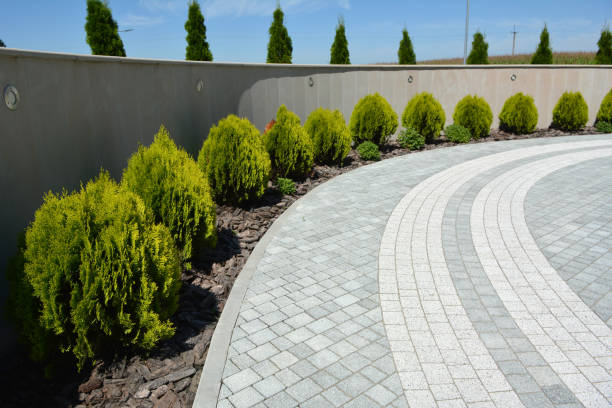 Best Driveway Repair Near Me  in Kualapuu, HI